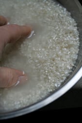 rice2