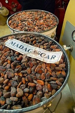 马达加斯加bean