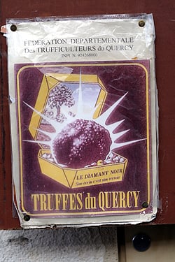truffes du Quercy