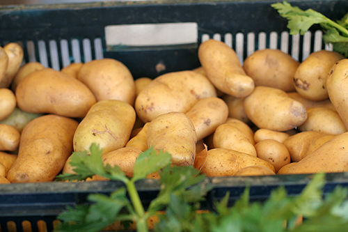 法国市场土豆