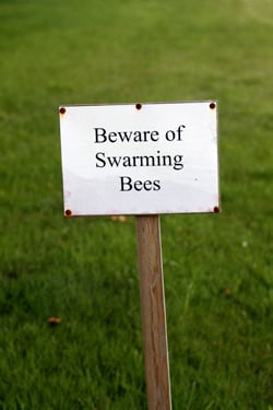 提防蜜蜂蜂拥