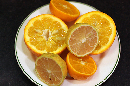 混合柑橘