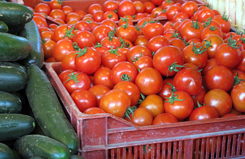 金巴利西红柿