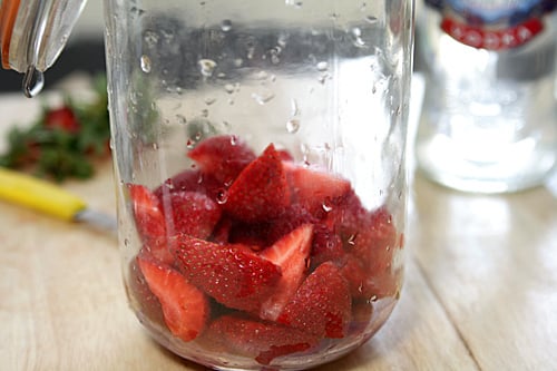 strawberry-vodka食谱