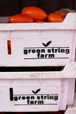 绿色字符串农场