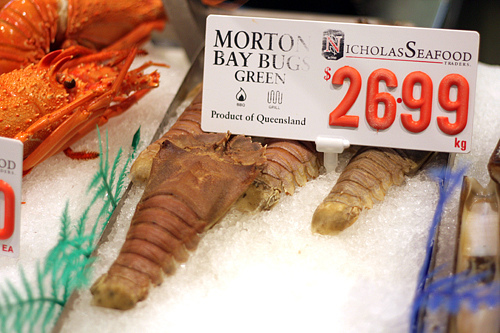虫子在悉尼鱼市场