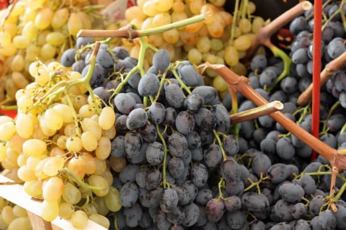 意大利葡萄在市场