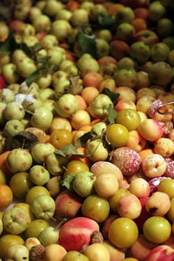 水果在以色列