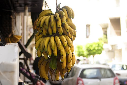 香蕉从黎巴嫩