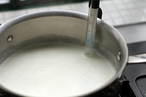 自制的酸奶