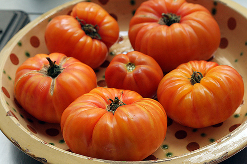 真正的夏天西红柿