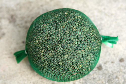 绿色小扁豆