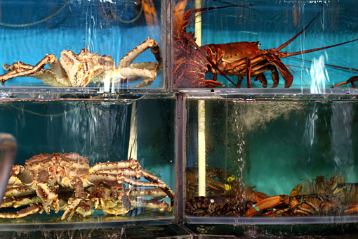 西贡的螃蟹和龙虾